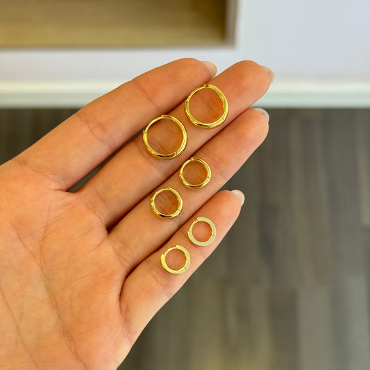 Classic Hoops Earrings
