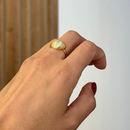 Shell Ring
