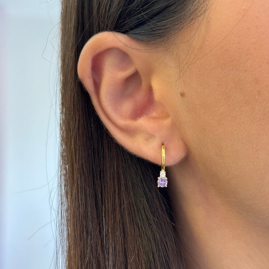 Zoe Hoops Earrings