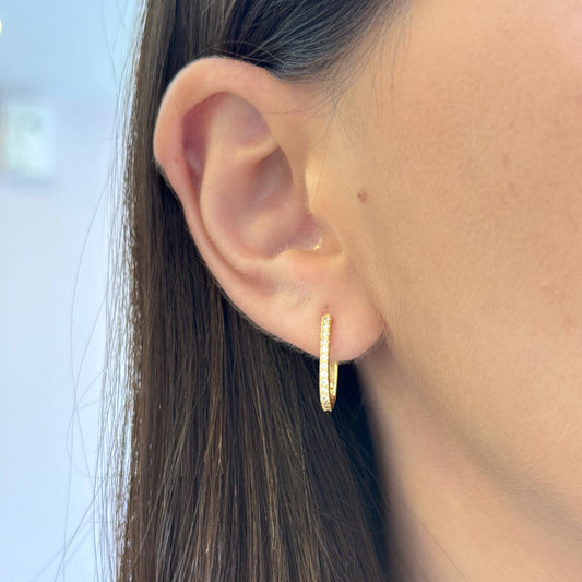 Oval Hoops Earrings